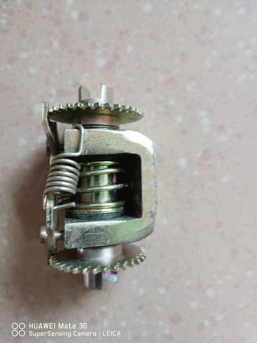 Rear brake adjusting assembly with mounted spring and toothed adjuster housing