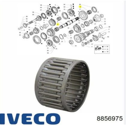 Gray circular roller cage for gearbox, shown as a fitted ring