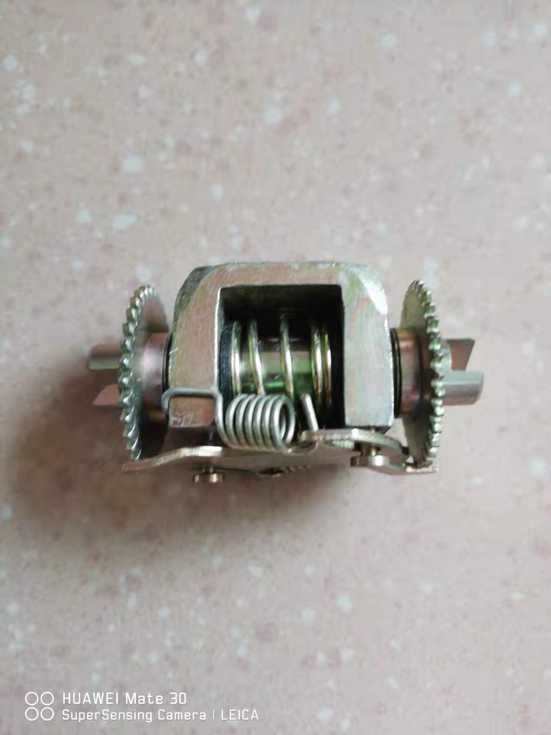 Rear brake adjusting assembly viewed from side, showing central spring and toothed wheels