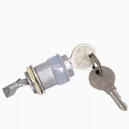 Dashboard lock cylinder with two keys attached, gray housing and metal mounting shaft