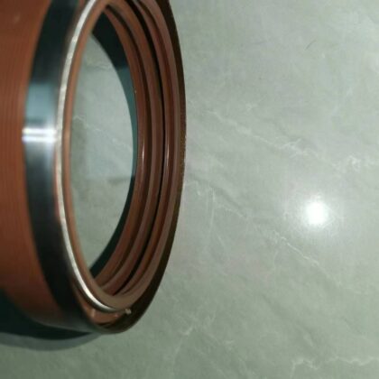 Oil seal ring with brown sealing lip and silver metal housing, front view